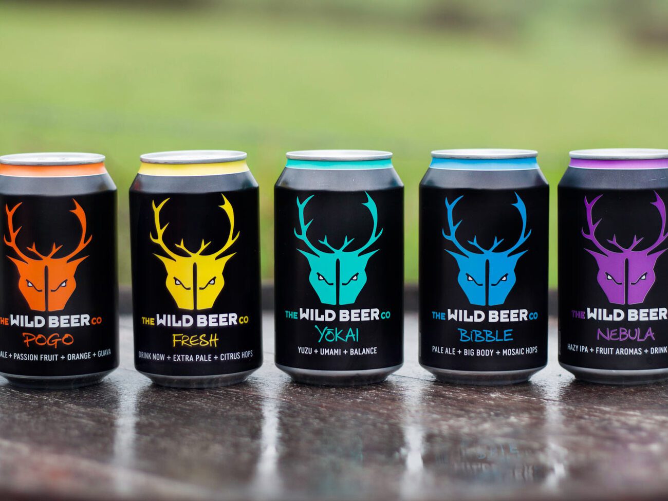 Wild Beer Co